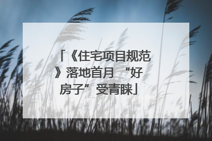 《住宅项目规范》落地首月 “好房子”受青睐