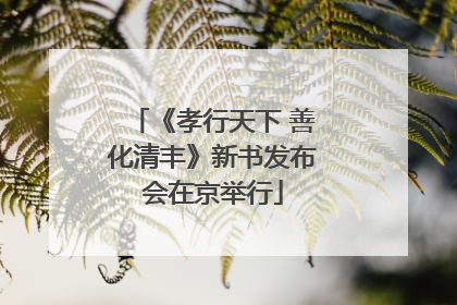 《孝行天下 善化清丰》新书发布会在京举行