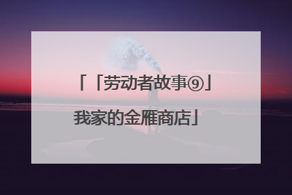 「劳动者故事⑨」我家的金雁商店