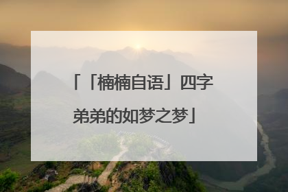 「楠楠自语」四字弟弟的如梦之梦