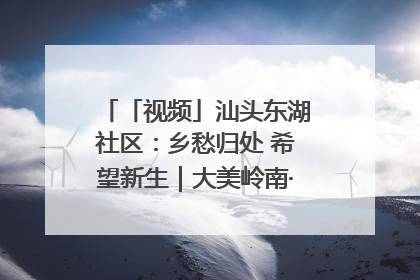 「视频」汕头东湖社区：乡愁归处 希望新生｜大美岭南·百村焕新记