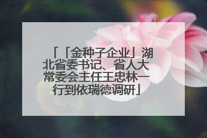 「金种子企业」湖北省委书记、省人大常委会主任王忠林一行到依瑞德调研