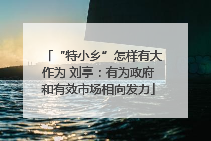 “特小乡”怎样有大作为 刘亭：有为政府和有效市场相向发力