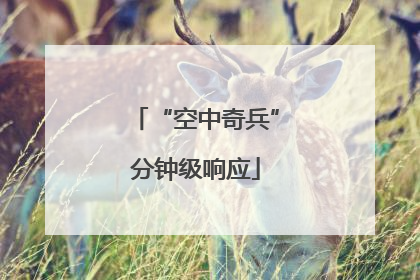 “空中奇兵”分钟级响应