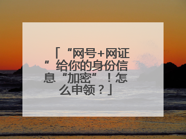“网号+网证”给你的身份信息“加密”！怎么申领？