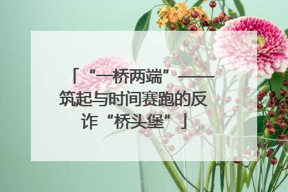 “一桥两端”——筑起与时间赛跑的反诈“桥头堡”