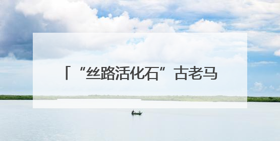 “丝路活化石”古老马种优质基因永久保存