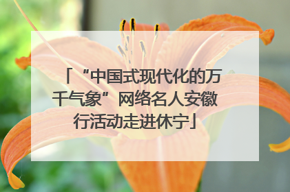 “中国式现代化的万千气象”网络名人安徽行活动走进休宁