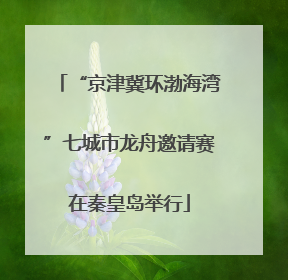 “京津冀环渤海湾”七城市龙舟邀请赛在秦皇岛举行