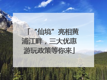 “仙境”亮相黄浦江畔，三大优惠游玩政策等你来