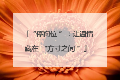 “停狗位 ”：让温情藏在 “方寸之间 ”