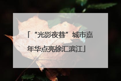 “光影夜巷”城市嘉年华点亮徐汇滨江