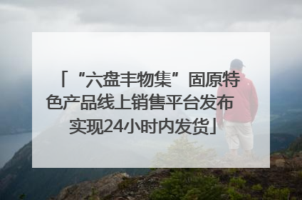 “六盘丰物集”固原特色产品线上销售平台发布 实现24小时内发货