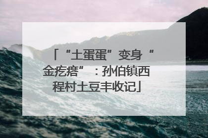 “土蛋蛋”变身“金疙瘩”：孙伯镇西程村土豆丰收记