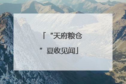 “天府粮仓”夏收见闻