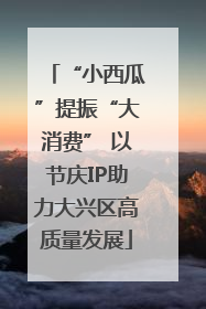 “小西瓜”提振“大消费” 以节庆IP助力大兴区高质量发展