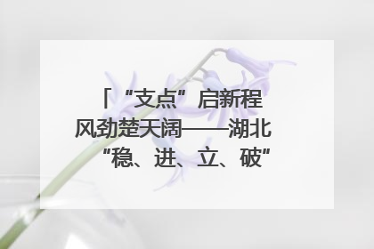 “支点”启新程 风劲楚天阔——湖北“稳、进、立、破”谱写“荆”彩篇章