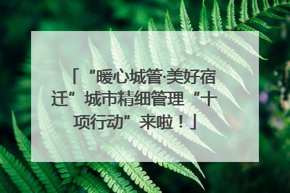 “暖心城管·美好宿迁”城市精细管理“十项行动”来啦！