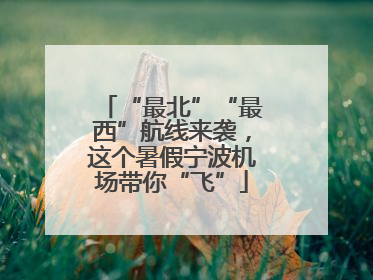 “最北”“最西”航线来袭，这个暑假宁波机场带你“飞”