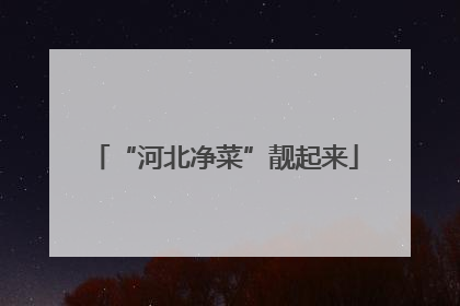 “河北净菜”靓起来