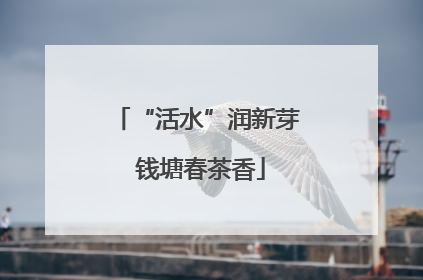 “活水”润新芽 钱塘春茶香