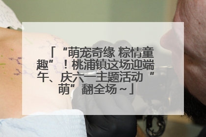 “萌宠奇缘 粽情童趣”！桃浦镇这场迎端午、庆六一主题活动“萌”翻全场～