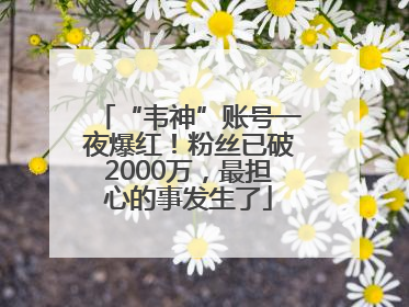 “韦神”账号一夜爆红！粉丝已破2000万，最担心的事发生了