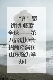 “齐”聚进博 畅联全球——第八届进博会招商路演在山东临沂举办