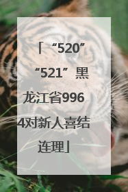 “520”“521”黑龙江省9964对新人喜结连理