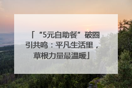 “5元自助餐”破圈引共鸣：平凡生活里，草根力量最温暖