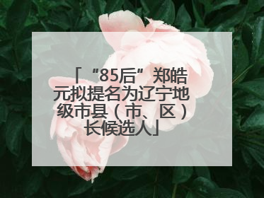 “85后”郑皓元拟提名为辽宁地级市县（市、区）长候选人