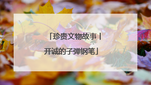 珍贵文物故事丨开诚的子弹钢笔
