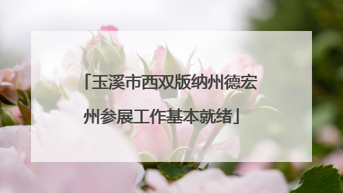 玉溪市西双版纳州德宏州参展工作基本就绪