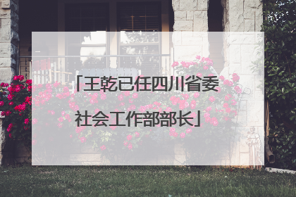 王乾已任四川省委社会工作部部长