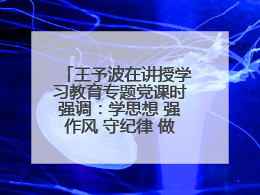 王予波在讲授学习教育专题党课时强调：学思想 强作风 守纪律 做忠诚干净担当的共产党员