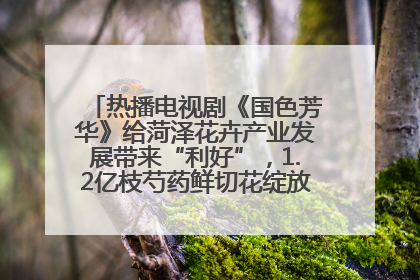 热播电视剧《国色芳华》给菏泽花卉产业发展带来“利好”，1.2亿枝芍药鲜切花绽放“国色芳华”