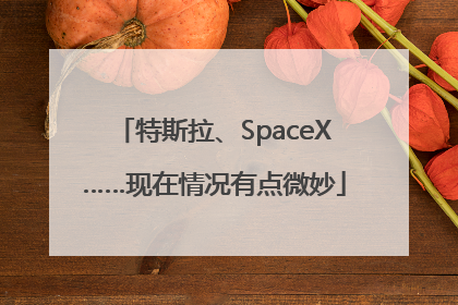特斯拉、SpaceX……现在情况有点微妙