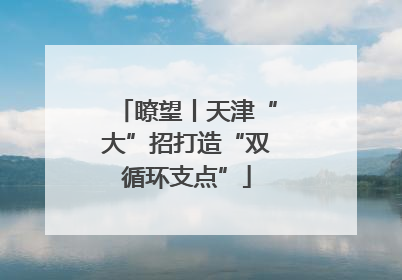 瞭望丨天津“大”招打造“双循环支点”