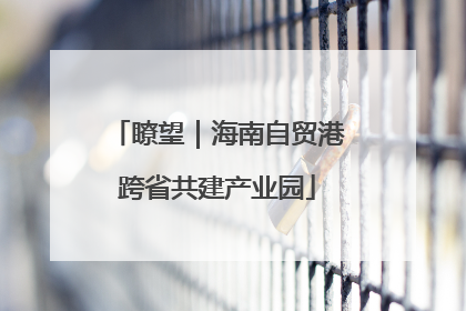 瞭望｜海南自贸港跨省共建产业园