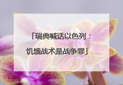 瑞典喊话以色列：饥饿战术是战争罪