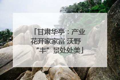 甘肃华亭：产业花开家家富 沃野“丰”景处处美