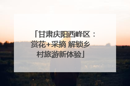 甘肃庆阳西峰区：赏花+采摘 解锁乡村旅游新体验