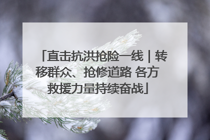 直击抗洪抢险一线｜转移群众、抢修道路 各方救援力量持续奋战