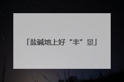 盐碱地上好“丰”景
