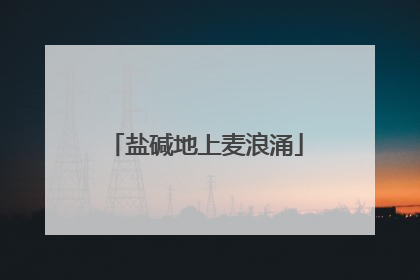 盐碱地上麦浪涌