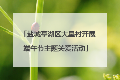 盐城亭湖区大星村开展端午节主题关爱活动