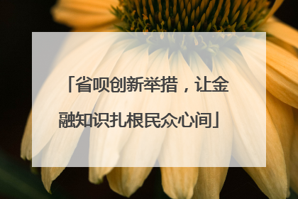 省呗创新举措，让金融知识扎根民众心间