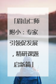 眉山仁师附小：专家引领促发展，精研课题启新篇