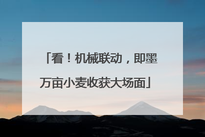 看！机械联动，即墨万亩小麦收获大场面