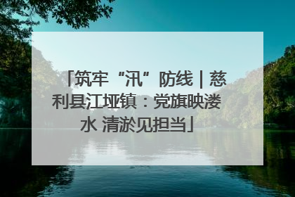 筑牢“汛”防线｜慈利县江垭镇：党旗映溇水 清淤见担当